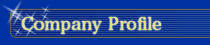 company profile